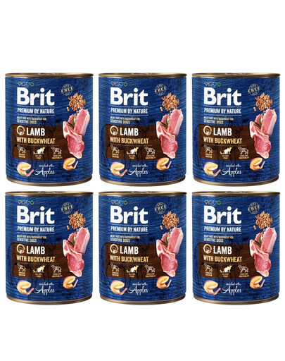 BRIT Premium by Nature 6 x 800g cibo per cani a base di agnello e grano saraceno