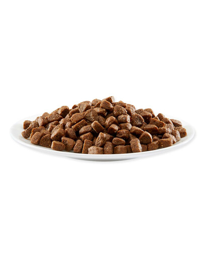 APPLAWS Cibo secco per cuccioli Pollo 2 kg
