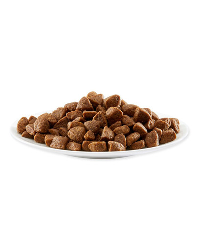 APPLAWS Cibo per cani adulti di piccola e media taglia Pollo con agnello 2 kg