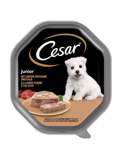 CESAR Junior in vaschetta 150g Paté con tacchino e vitello per cuccioli