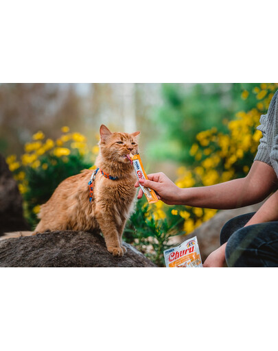 INABA Churu Cat Crema di pollo per gatti 56 g