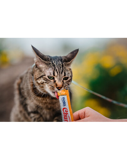 INABA Churu Cat Crema di pollo per gatti 56 g
