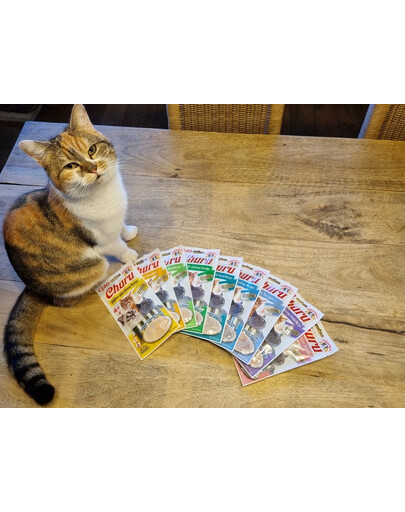 INABA Churu Cat crema per gatti tonno e capesante 56 g