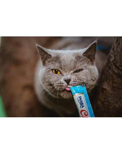 INABA Churu Cat crema per gatti tonno e capesante 56 g