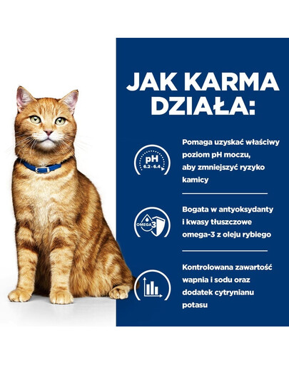 HILL'S Prescription Diet Feline C/D Multicare Urinary care con salmone 12x85g