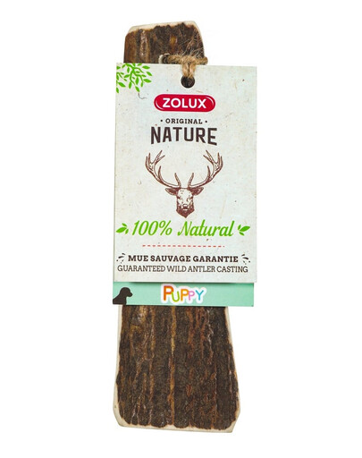 ZOLUX Poroże jelenia PUPPY oszlifowane krawędzie