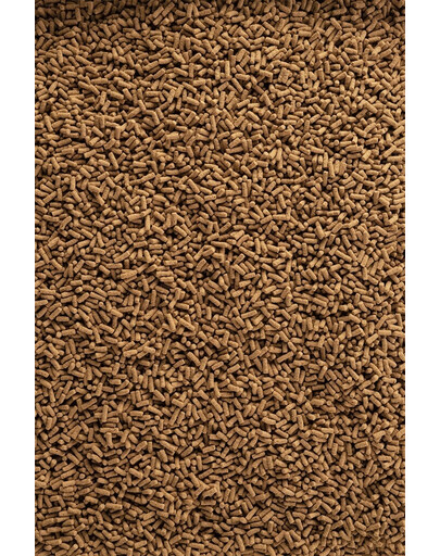 TETRA Pond Wheatgerm Sticks 7l Mangime completo per tutti i pesci da laghetto