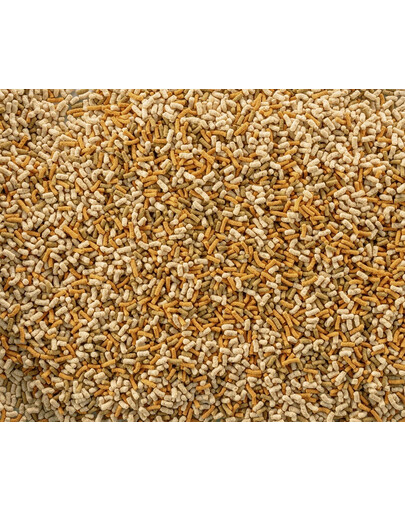 TETRA Pond Variety Sticks 10l Mix completo per pesci da laghetto a base di tre diversi tipi di stick