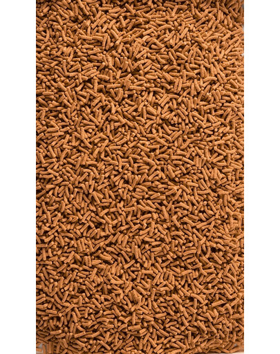 TETRA Pond KOI Sticks 4l Mangime completo per carpe koi