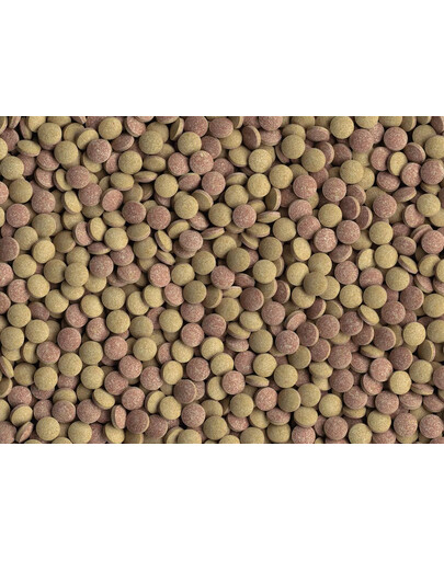 TETRA Tablets TabiMin 1040 Capsule