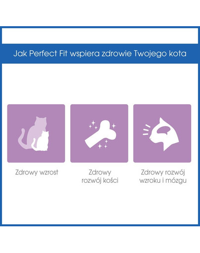 PERFECT FIT Junior (<1 anno) Ricco di Pollo 750g