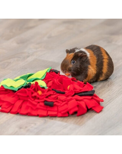 TRIXIE Tappeto olfattivo per cavie e conigli fragola rossa 33 × 40cm