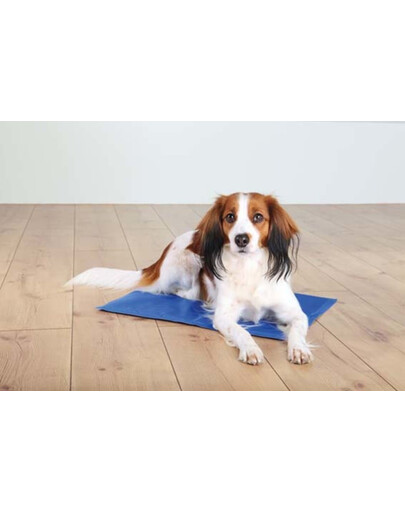 TRIXIE Tappeto rinfrescante per cani blu 100 x 60cm