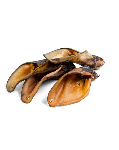 PETMEX Orecchio di manzo 1 pezzo naturale da masticare per cani