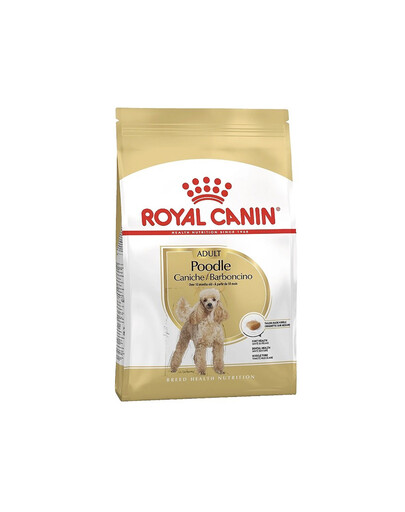 ROYAL CANIN Poodle adult 0.5 kg