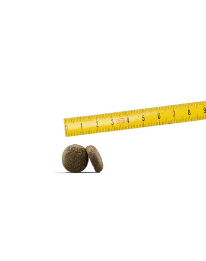 JOSERA Salmone & Patate 900g