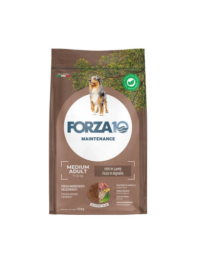 FORZA10 Medium Adult Maintenance Lamb Rice 12 kg