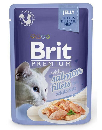 BRIT Premium Cat  Fillets in Jelly cibo umido per gatti con salmone 24x85 g