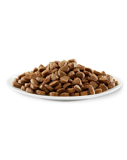 APPLAWS Kitten alimento senza cereali con pollo per gattini 400g