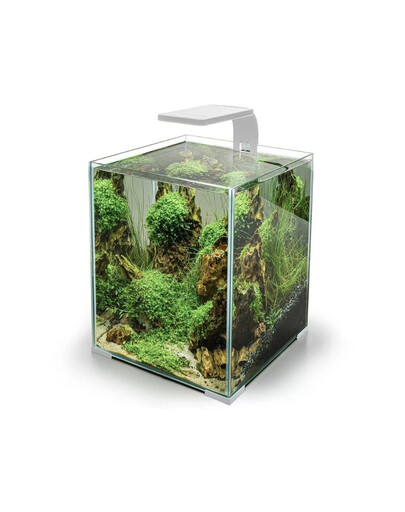 AQUAEL Leddy Smart 4,8W Sunny Day&Night biała lampka ledowa do niewielkich zbiorników akwariowych