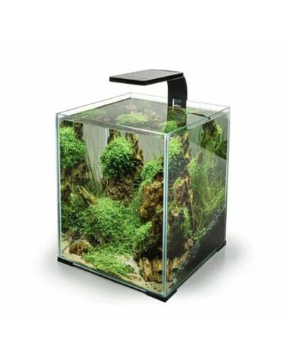 AQUAEL Leddy Smart 4,8W Sunny Day&Night czarna lampka ledowa do niewielkich zbiorników akwariowych