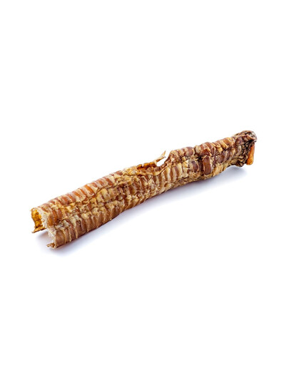MACED Trachea di manzo da 25 cm, bocconcino naturale per cani