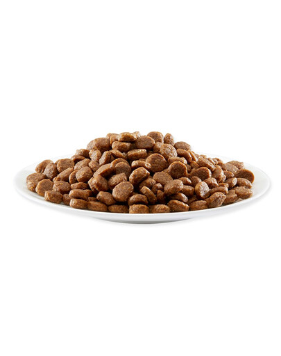 APPLAWS Cibo secco per gatti al pollo 400g