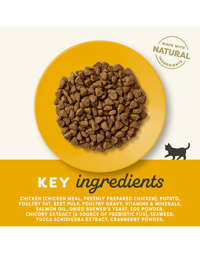 APPLAWS Kitten alimento senza cereali con pollo per gattini 2kg