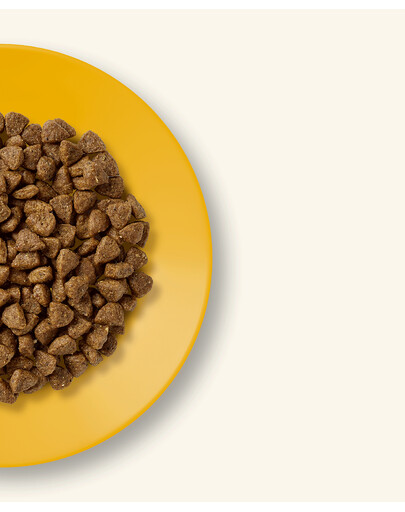 APPLAWS Kitten alimento senza cereali con pollo per gattini 2kg