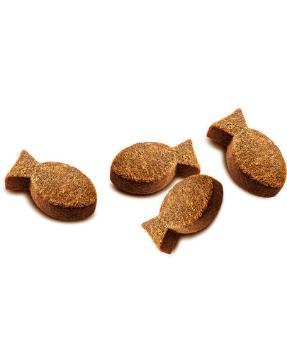 CARNILOVE Semi moist snacks con sardine e aglio orsino 200g