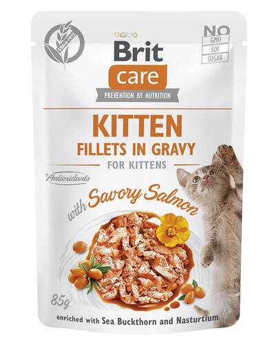 BRIT CARE Fillets in Gravy Pouch Kitten Savory Salmon 24x85g con salmone per gattini