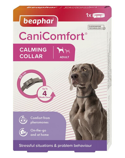BEAPHAR CaniComfort Calming Collar Dog 65 cm collare con feromoni per cani