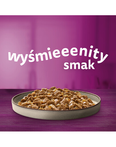 WHISKAS Adult 48x85g Alimento umido in gelatina di pollame per gatti adulti con: pollo, tacchino, pollame, anatra