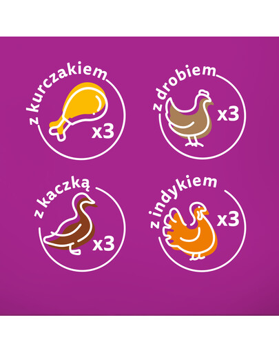 WHISKAS Adult 48x85g Alimento umido in gelatina di pollame per gatti adulti con: pollo, tacchino, pollame, anatra
