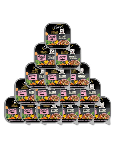 CESAR Natural Goodness in vaschetta 16x100g con salmone arricchito di olio di pesce, spinaci e carote in salsa