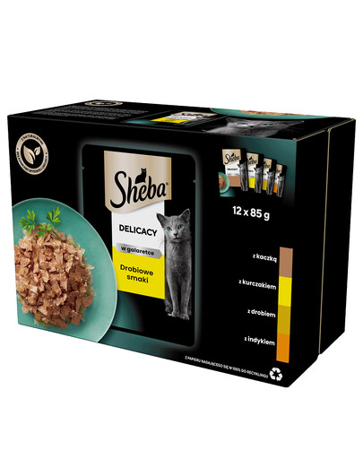 SHEBA Delicacy in Jelly in bustina 12x85g cibo umido completo per gatti adulti, bocconcini in gelatina con: anatra, pollo, pollame, tacchino