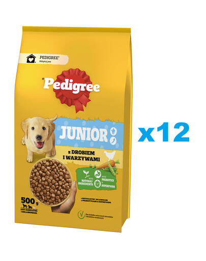 PEDIGREE Junior 12x500g alimento completo con pollame e verdure per cani in crescita di taglia grande e media