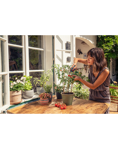 GARDENA Forbici per erbe e verdure FreshCut
