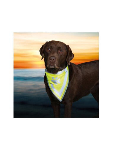TRIXIE Bandana di sicurezza XS - S  22 - 28 cm