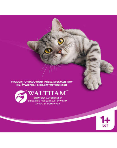 WHISKAS Adult Chicken Pollo 7kg