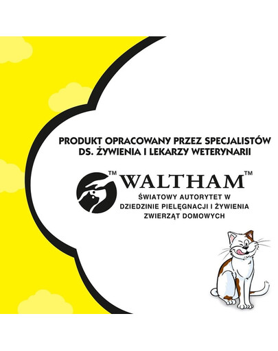 DREAMIES 60g Bocconcini per gatti con deliziosa anatra