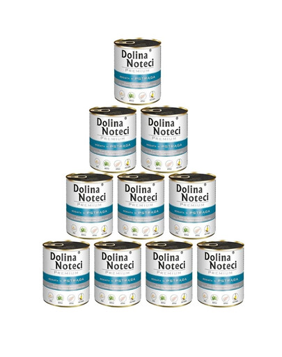 DOLINA NOTECI Premium Bogata W Pstrąga 10x800g