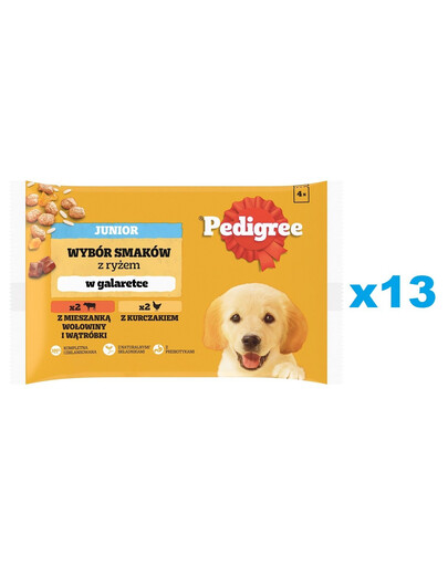 PEDIGREE Junior Wybór Smaków z ryżem saszetki 52x100 g mokra karma pełnoporcjowa dla szczeniąt, kawałki z mieszanką wołowiny i wątróbki i ryżem, z kurczakiem i ryżem, w galaretce