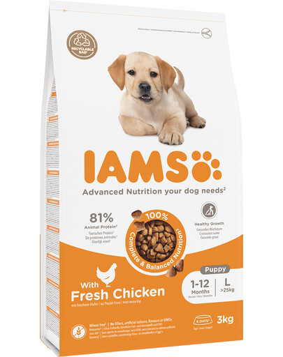 ProActive Health Puppy & Junior Large Breed Chicken 3 kg