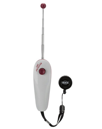 Wskaźnik treningowy dla kota