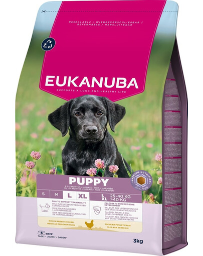 EUKANUBA Puppy Large Breeds Chicken 3 kg crocchette per cuccioli di grandi razze ricche di pollo fresco