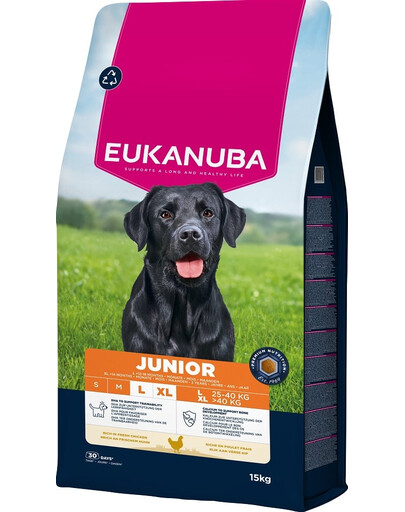EUKANUBA Junior Large Breeds Chicken 15 kg cibo secco per cuccioli di grandi razze ricco di pollo fresco