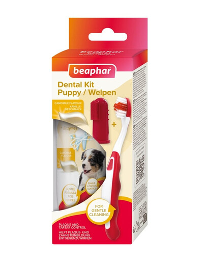 BEAPHAR Puppy Dental Kit spazzolino e dentifricio 50 g per cuccioli