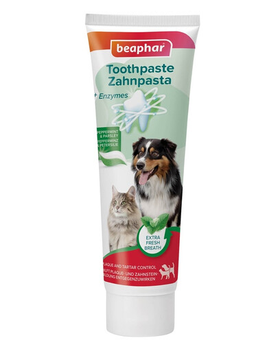 BEAPHAR Toothpaste Mint and Parsley 100 g dentifricio al gusto di menta e prezzemolo per cani e gatti