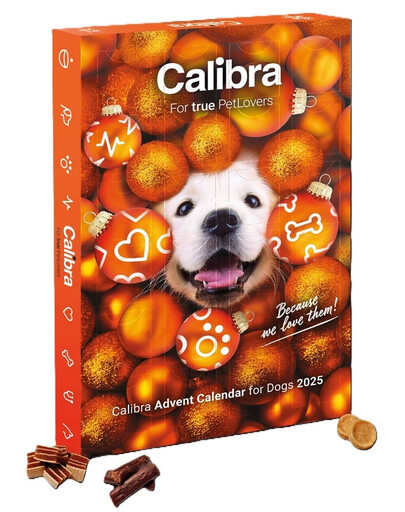 CALIBRA Calendario dell'Avvento con snack di carne per cani